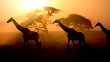 Africa luxury travel