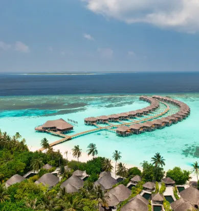 The Maldives image