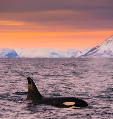 Holiday destination image