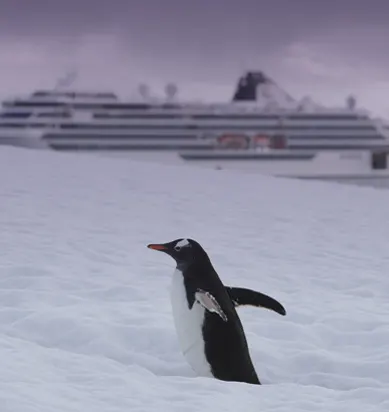 Holiday destination image