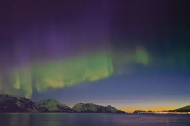 Hurtigruten Signature Voyages Travel Associates