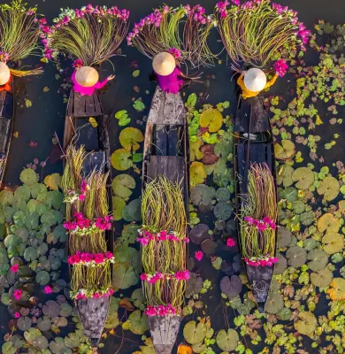 See Mekong Delta waterlilies on a luxury river cruise in Vietnam