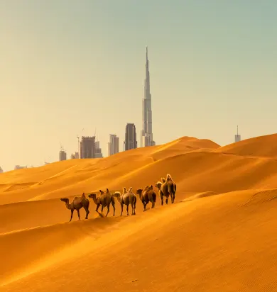 Raffles The Palm Dubai