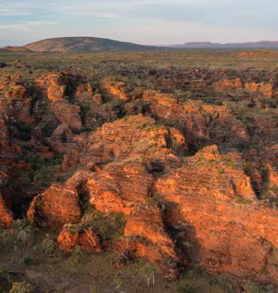 Image of Close to Home