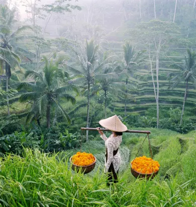 Image of Bali