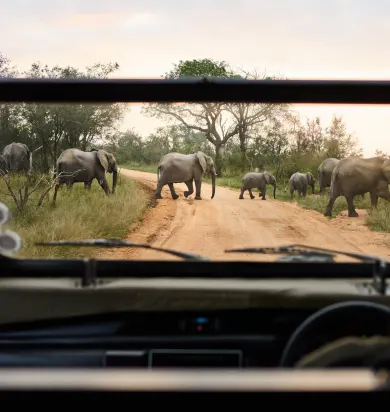 Image of South Africa