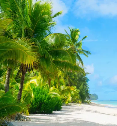 sku header image
