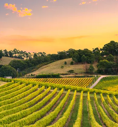 sku header image