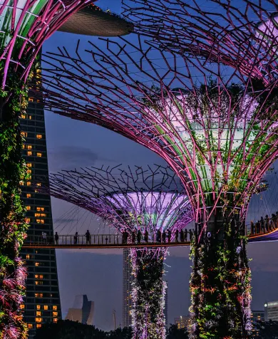 Luxury travel in Singapore
