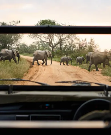 Luxury Travel Safari South Africa 