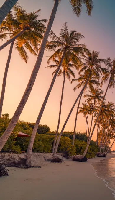 homg page header banner image