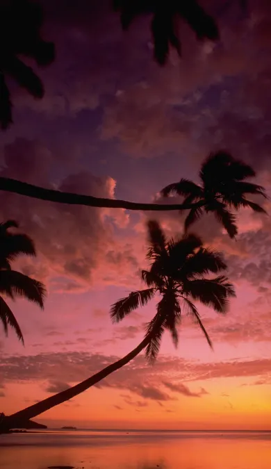 homg page header banner image