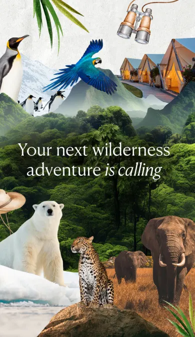 homg page header banner image