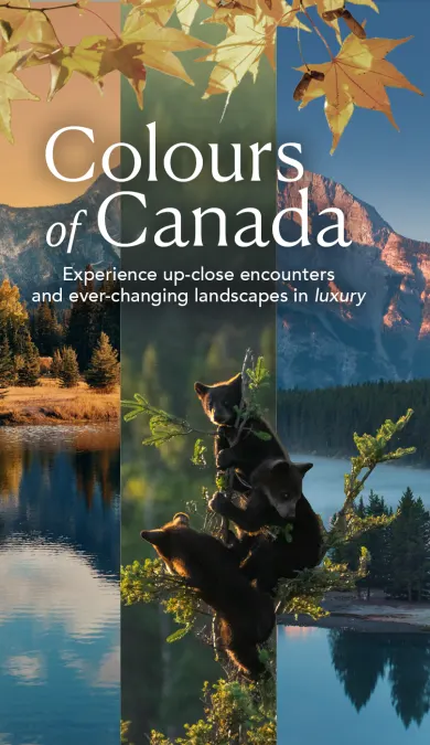 homg page header banner image