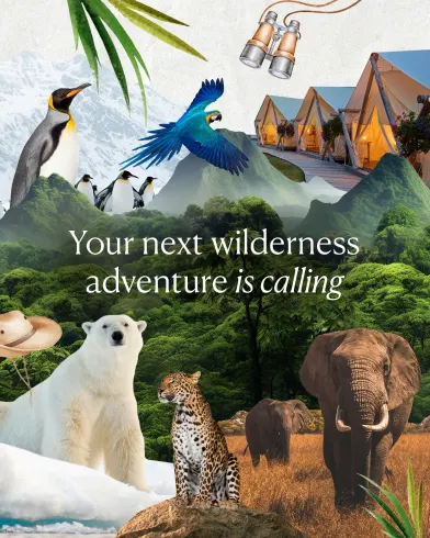 Travel Associates luxury travel wild wonders holiday