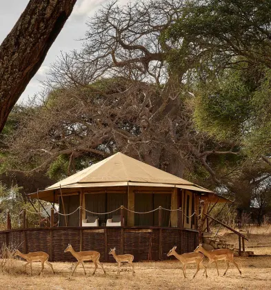 Swala Camp An A&K Sanctuary luxury hotel Tarangire National Park Tanzania