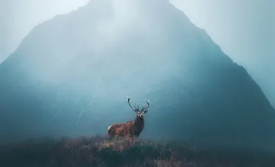 Scotland Luxury holiday Header Banner