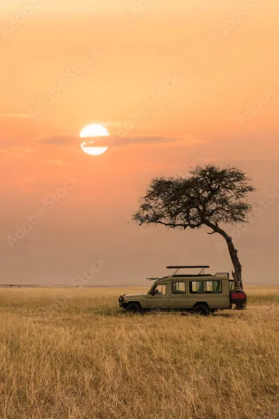 Game_Drive-Kenya