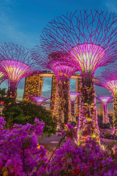 Gardens By The Bay Singapore luxury travel