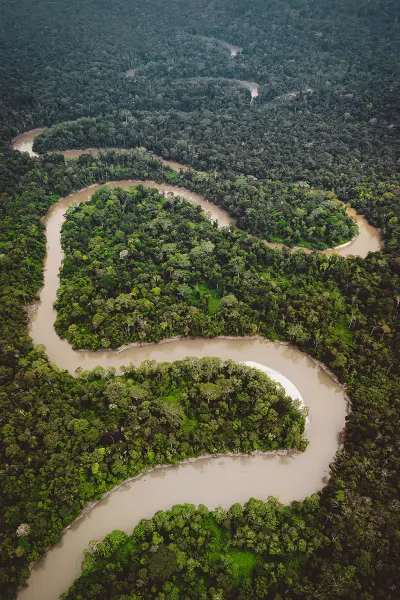 Amazon Rainforest