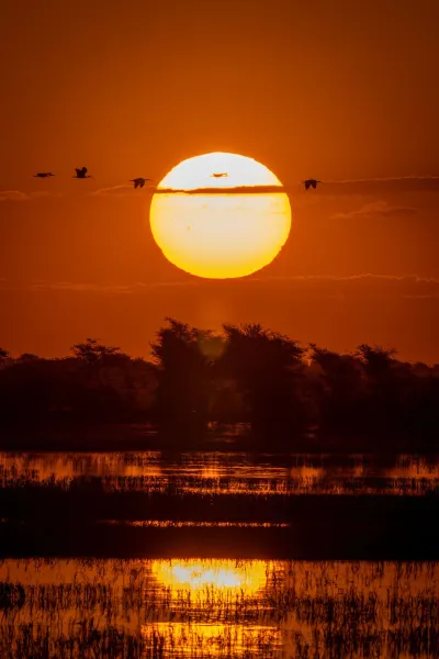 Luxury travel - Sunset over river in Botswana.
