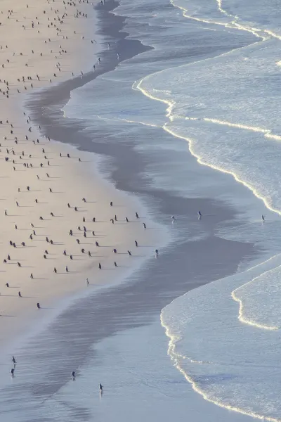 Falkland Islands, luxury cruise holiday, Antarctica