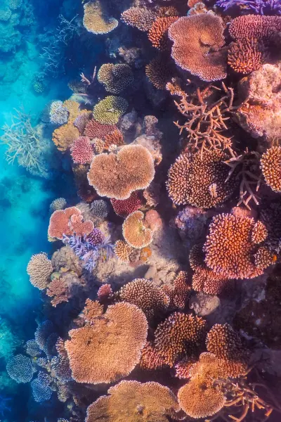 Great Barrier Reef, Queensland, luxury travel holiday, Australia