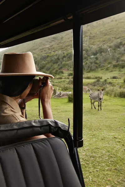 Luxury Travel Safari South Africa 