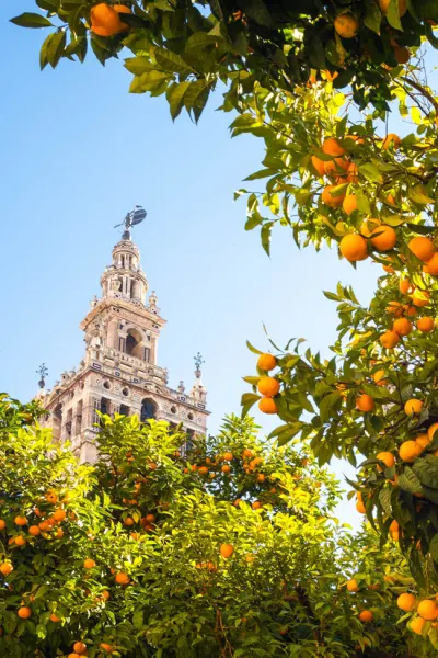 Luxury Travel in Seville, Spain