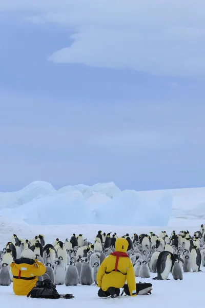 Weddel Sea, luxury cruise holiday to Antarctica