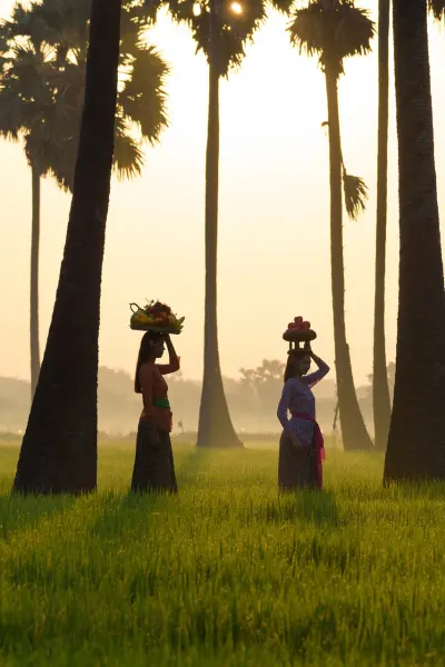 Rice fields, luxury travel holiday, Bali, Indonesia 