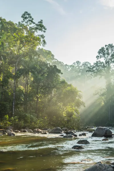Malaysia_Para3_POI2_Endau Rompin National Park.jpg