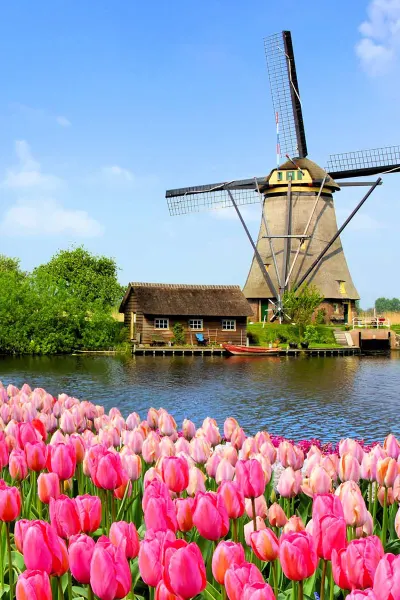 Luxury Travel: Tulips and windmills in Amsterdam