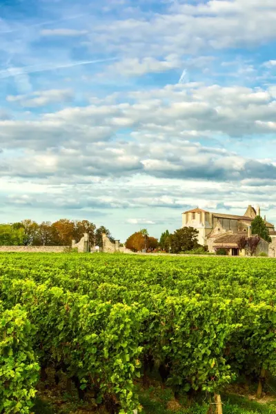 Bordeaux Wineyards