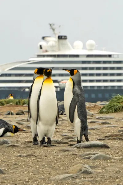 Travel Associates luxury travel expedition cruising