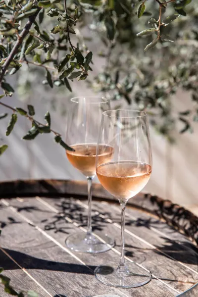Wine glasses at a French Winery