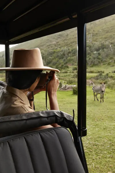 Luxury Travel Safari South Africa 