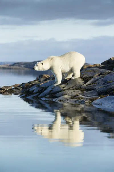 Hudson Bay, Nunavut, Canada