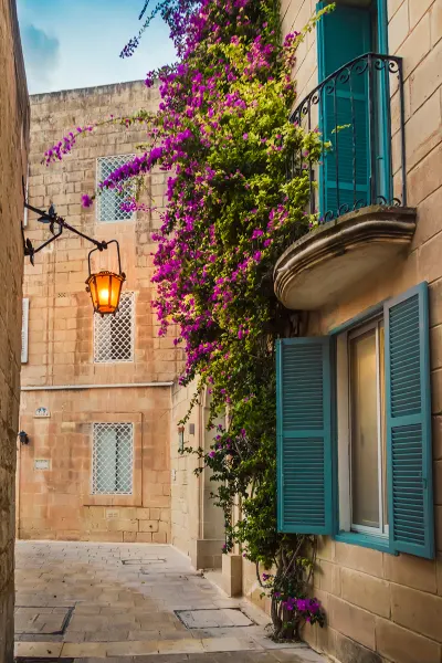 Malta_Para 2_EOI2_Mdina.jpg