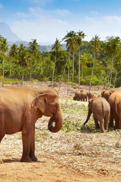 TA25221_Viking Campaign_Oct25_Web_POI Cultural3.jpg