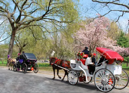 Itinerary details first image