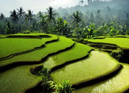 Itinerary details first image