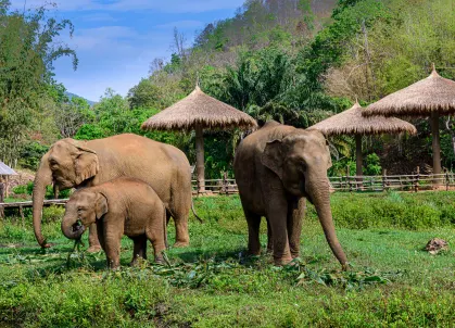 Itinerary details first image