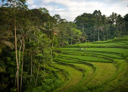 Itinerary details first image