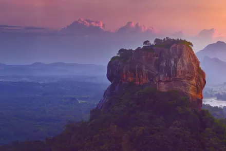 TA25293_Boxing Day Campaign_Web_Offer.jpg