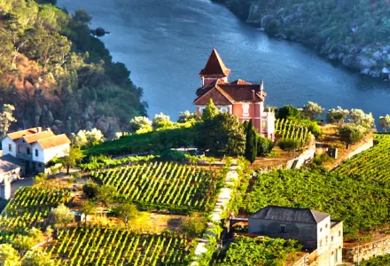 Forget France, Please Your Palate in Portugal And Cruise The Douro luxury travel