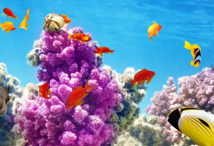 Why you should visit Christmas Island luxury travel