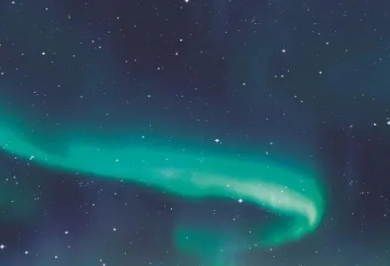 Hurtigruten 2-for-1 Header