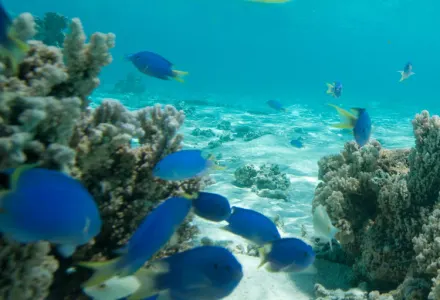 Cook Islands Activities, On and Off the Water luxury travel