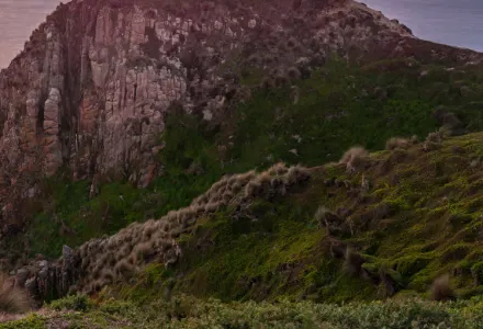 7 Must-Dos on Phillip Island luxury travel